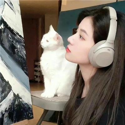 动画动漫
