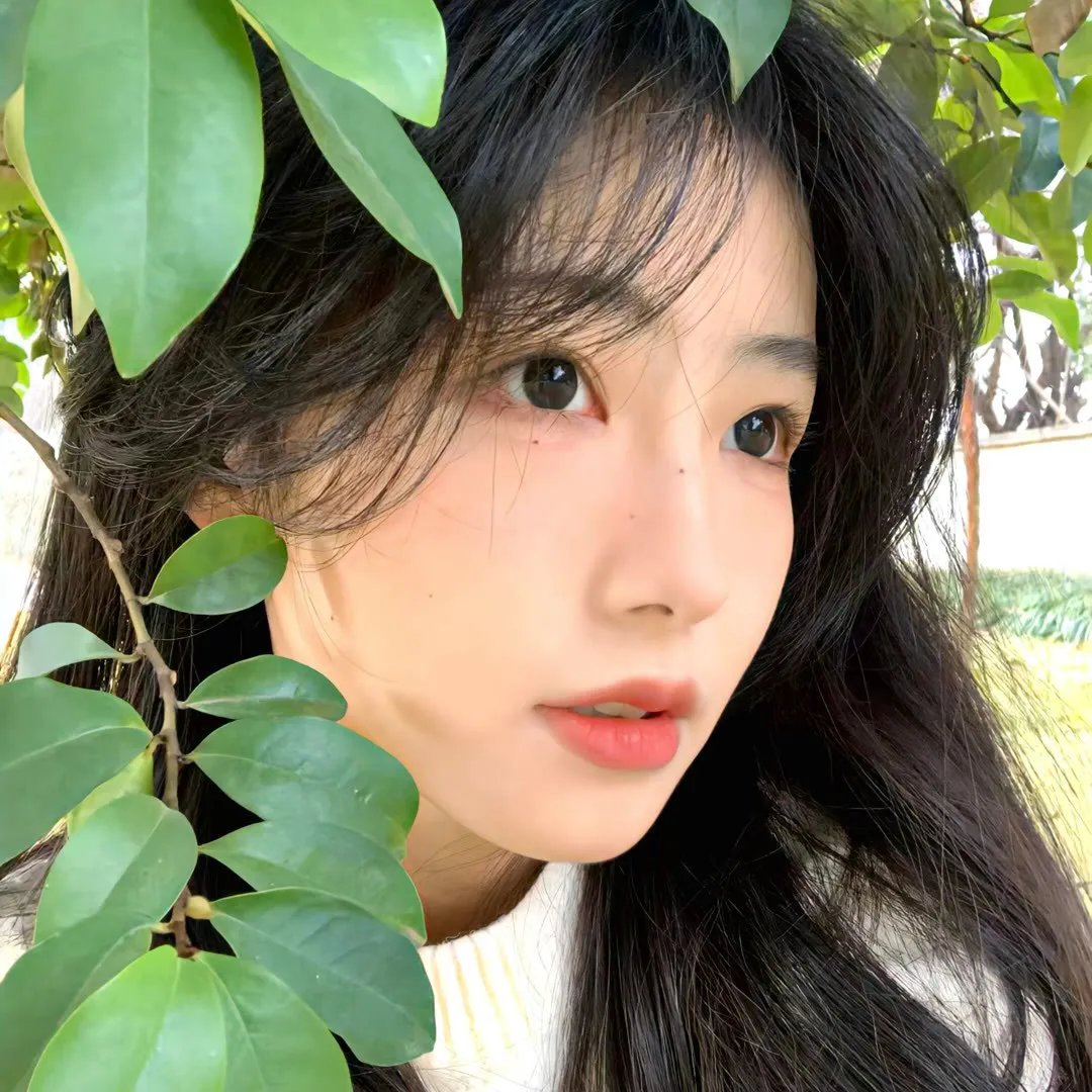 朝暮不及你一瞬